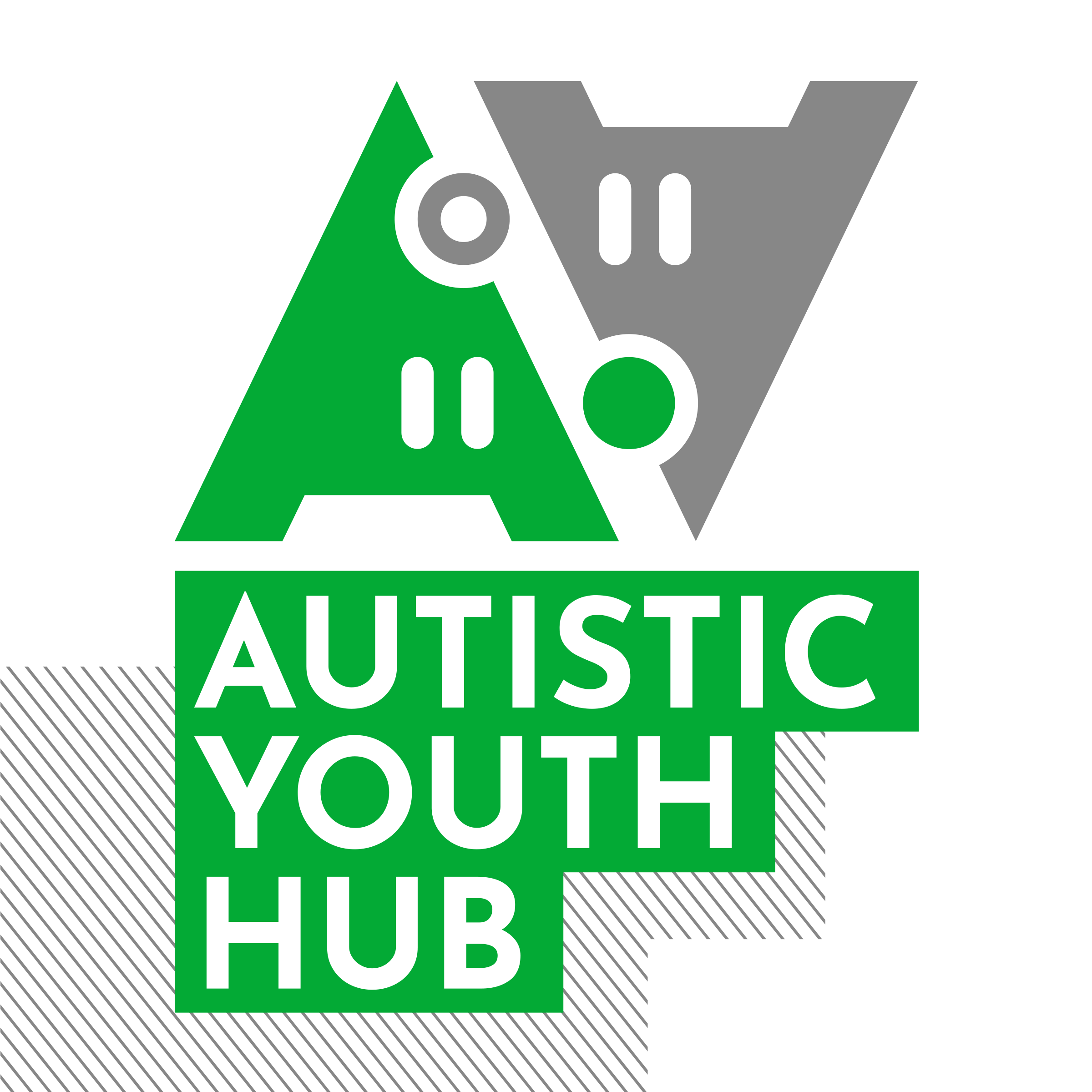 Autistic Youth Hub